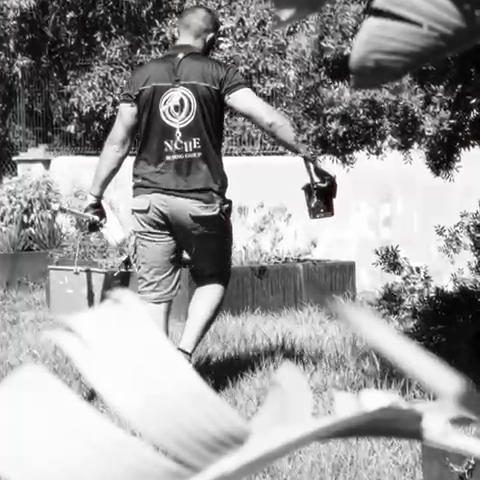 niche-building-group-worker-qtwgf8u1616blmurh61xdr2vuq6z8iuyw89ez0hwhs